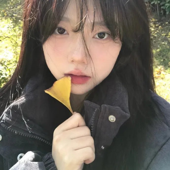 大卫王