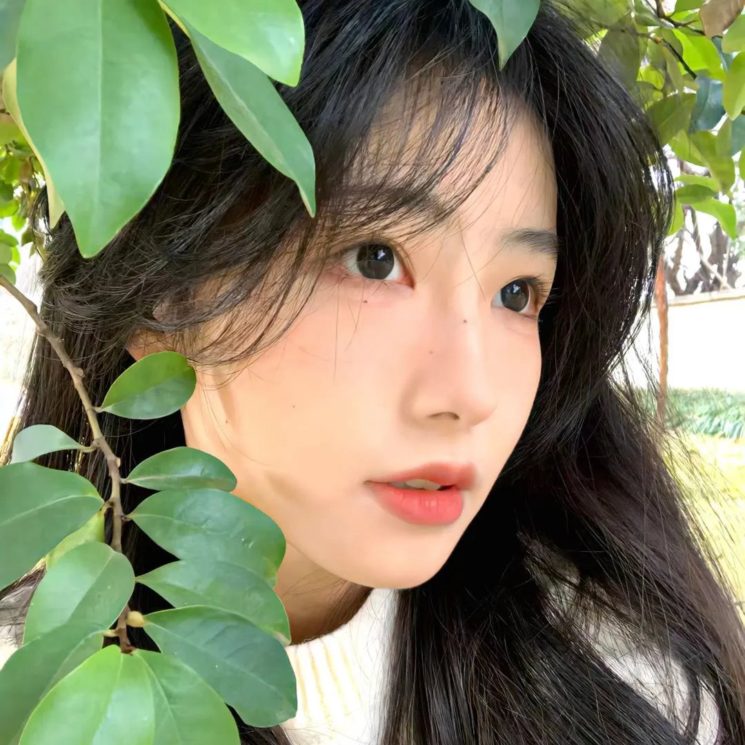 寻凶记